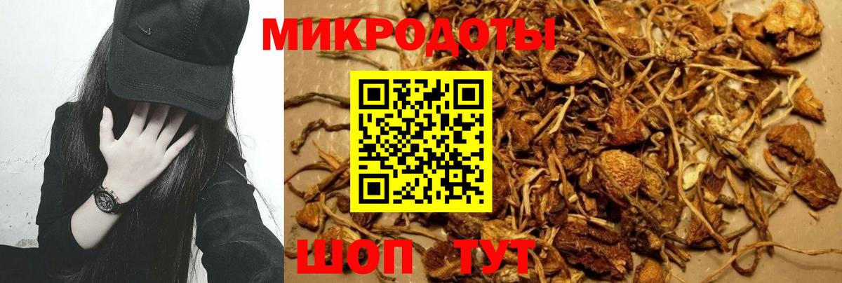 Псилоцибиновые грибы Cubensis Сарапул
